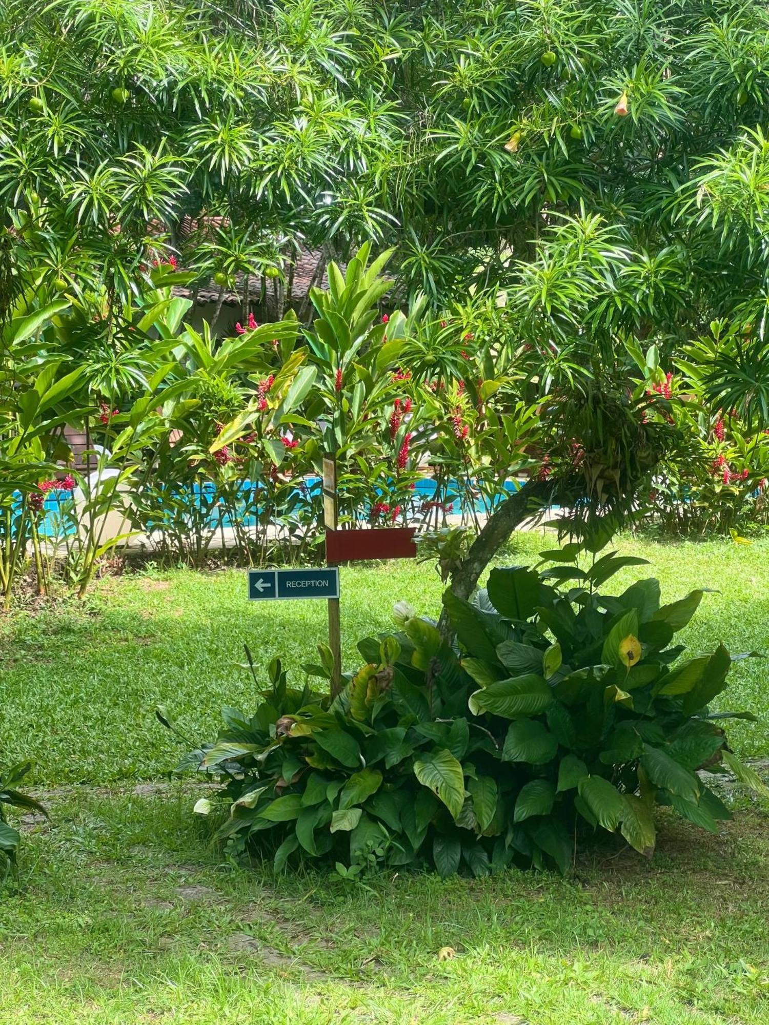 Garden Hotel Paraty Exterior foto